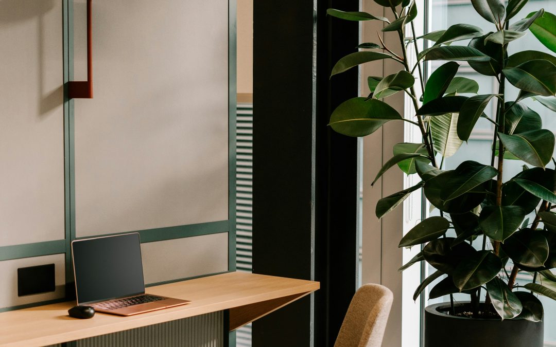 CFOP 5201 – Devolução de compra para industrialização